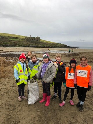 How Strand clean up and seaweed collection