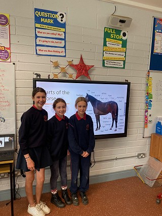 Horses Project (PowerPoint) by girls in the Senior Room